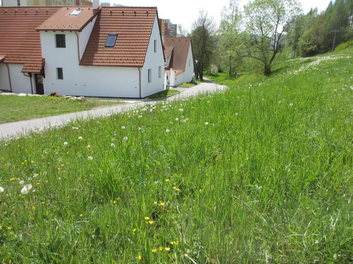 Apartmany U Prochazku Český Krumlov Extérieur photo