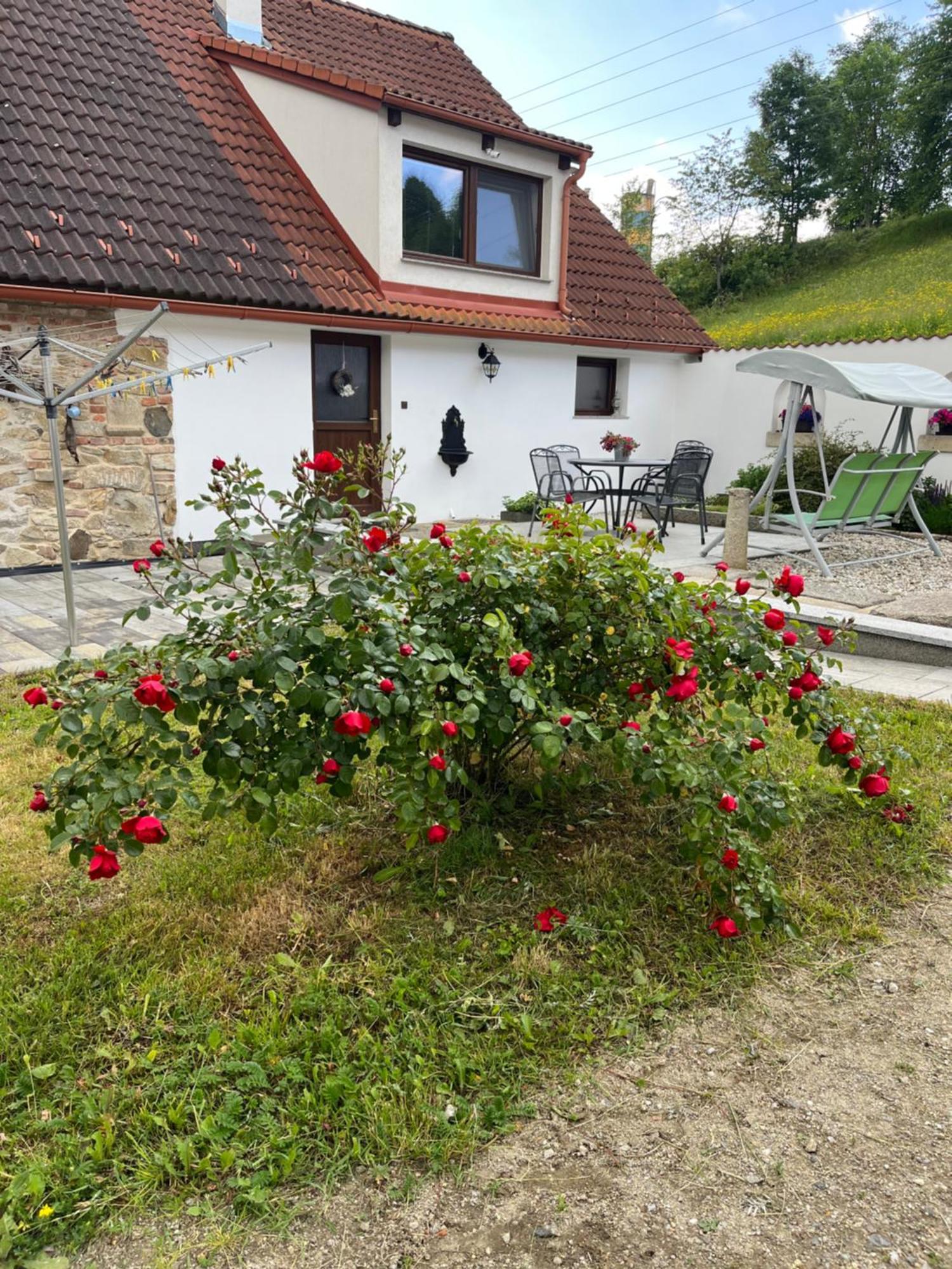 Apartmany U Prochazku Český Krumlov Extérieur photo